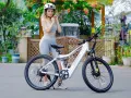 Електрическо колело SAMEBIKE XD26-II 750W 48V 14Ah, снимка 10