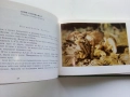 Диворастящите гъби - Н.Колев,Аф.Охапкин - 1974г., снимка 4