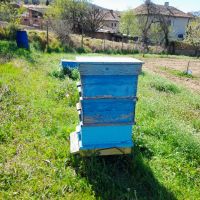 Инвентар за пчели, снимка 9 - За пчели - 44114607