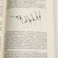 Книга Учебник по Гимнастика на Руски Език, снимка 4 - Специализирана литература - 46145261