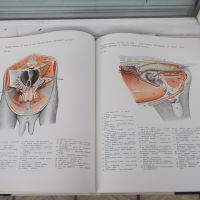 Книга"Атлас по топографска анатомия-III том-П .Попеско"-206с, снимка 7 - Специализирана литература - 45324575