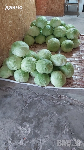 Зеле, снимка 1