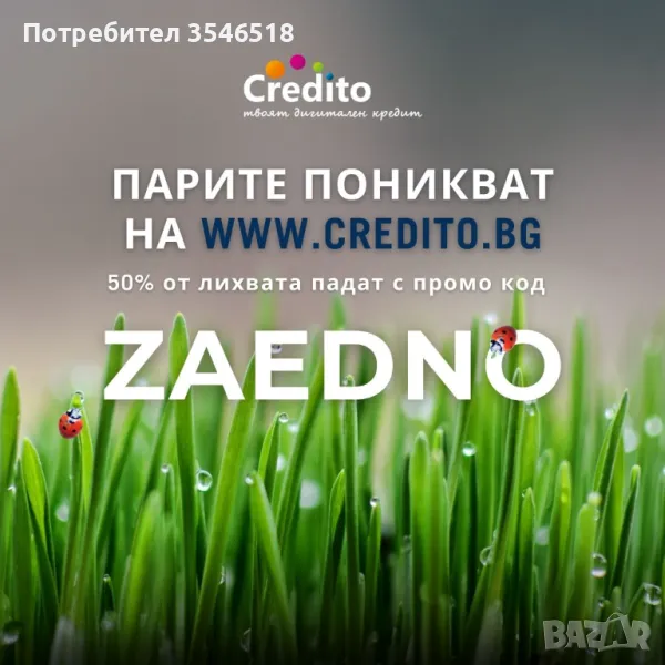 Идеите поникват с бърз кредит до 3000 лв. и 50% отстъпка от лихвата, снимка 1