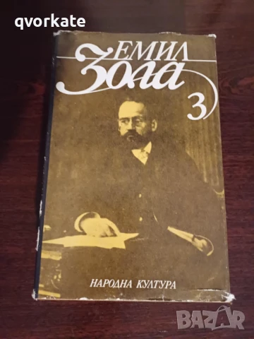 Терез Ракен-Емил Зола, снимка 7 - Художествена литература - 16623777