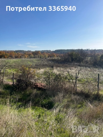 5 дк. Ток, вода. Сонда 