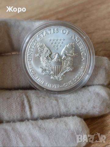 1 унция сребърен долар 2013 година САЩ