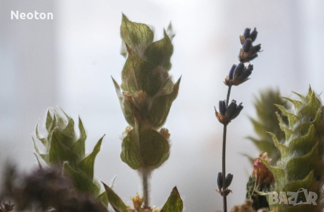 Обектив SMC PENTAX-DA 18-55mm f/3.5-5.6 AL, снимка 10 - Обективи и филтри - 53785691