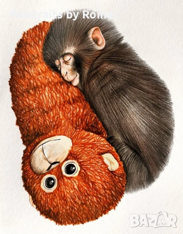 Авторски илюстрации на животни