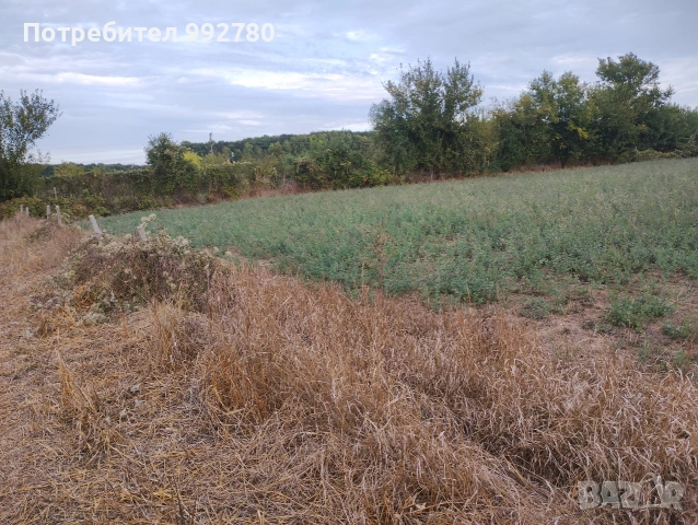 парцел, снимка 4 - Парцели - 53641271