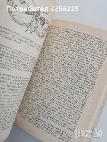 Болести и неприятели по овощните дървесни видове, снимка 4 - Специализирана литература - 54097986
