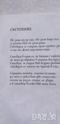 Нощна пеперуда - Любка Данчева, снимка 4 - Българска литература - 49236057