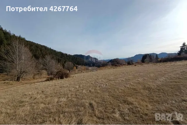 Поземлен имот в Езерово, снимка 3 - Парцели - 50132572