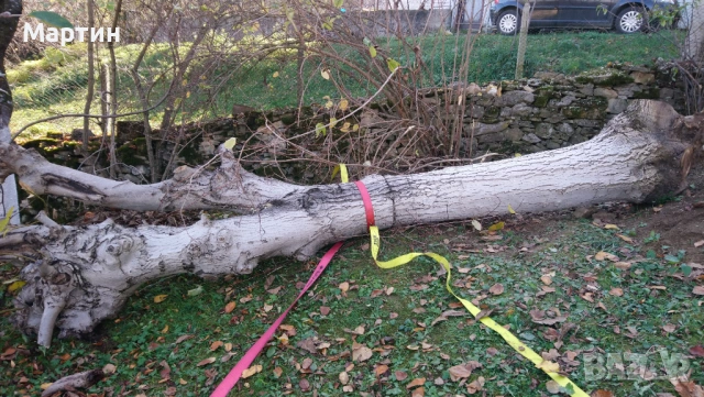 Продавам орех дървен материал 