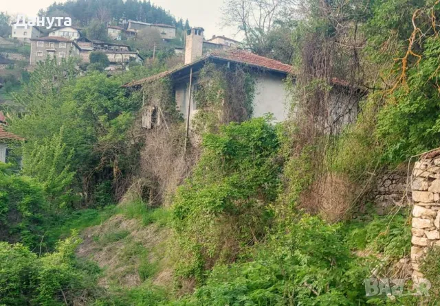 Половин декар с къща в сърцето на Родопите!, снимка 4 - Къщи - 49467566