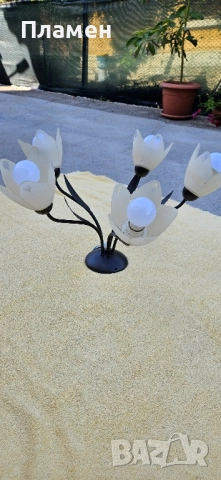 Полилей с пет крушки, снимка 2 - Полилеи - 51962451