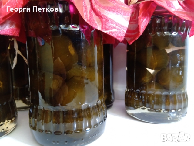 Смокини сорт Бяла Кадота., снимка 6 - Градински цветя и растения - 40184578