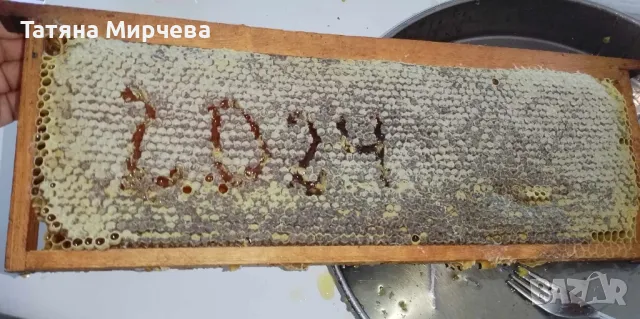  Натурален пчелен мед от липа и букет, снимка 2 - Пчелни продукти - 46797804