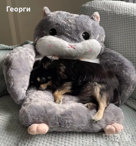 Декоративна плюшена възглавница за стол, снимка 5 - Декорация за дома - 53896005