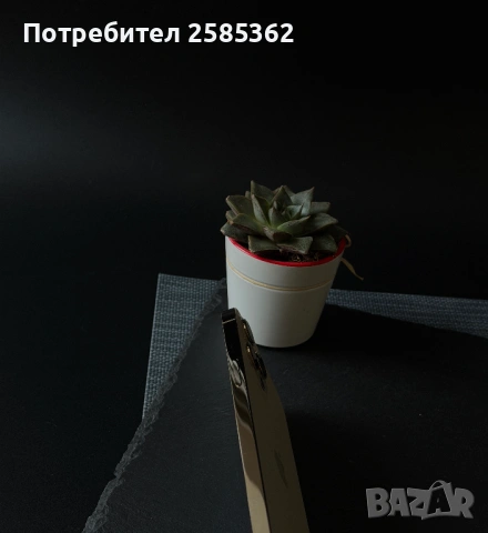 iPhone 12 Pro Max 256 GB Gold / 100% Батерия / Перфектен технически, снимка 5 - Apple iPhone - 53583833