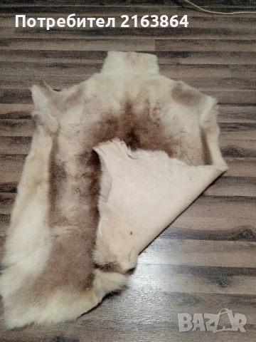 кожа от северен елен, снимка 5 - Декорация за дома - 52728867