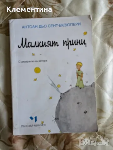 Малкият принц - Антоан дьо Сент Екзюпери , снимка 1 - Детски книжки - 46943719