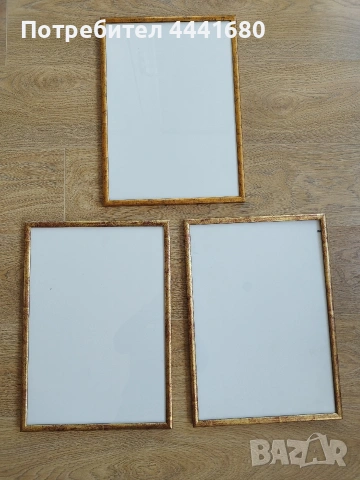 Картина и рамки за картини,снимки,сертификати и др.3 бр., снимка 2 - Картини - 53582466
