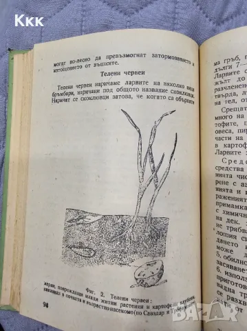 Наръчник по растителна защита от 1953г., снимка 4 - Специализирана литература - 48787470