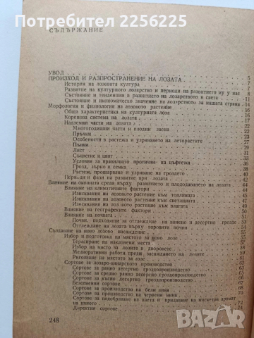 Практическо лозарство и винарство, снимка 6 - Специализирана литература - 53922704