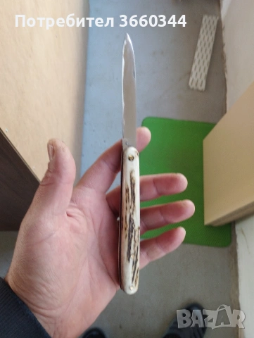 дегустатурска ножка 