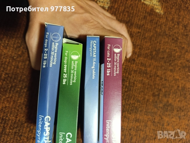 CAPSTAR против бълхи, снимка 2 - Ветеринари и услуги - 54279864