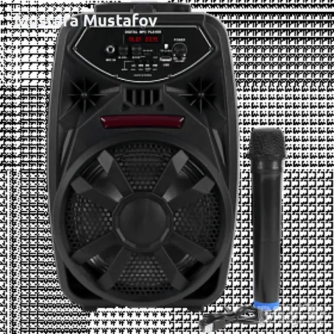 Преносим Bluetooth високоговорител с вход за микрофон PK-09(L), снимка 5 - Тонколони - 48472741