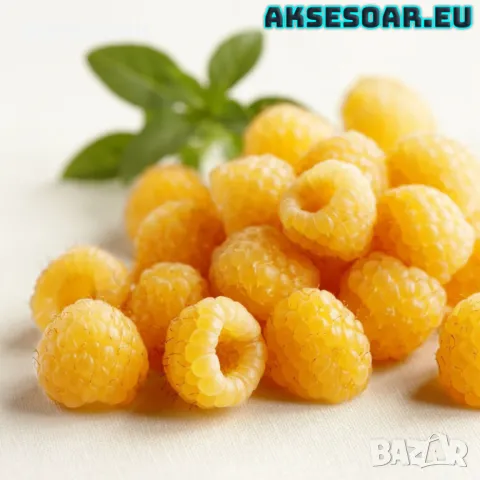 20 качествени Семена от Британска Есенна Златна Малина Златни наситени Сладки Малини сочни плодове 