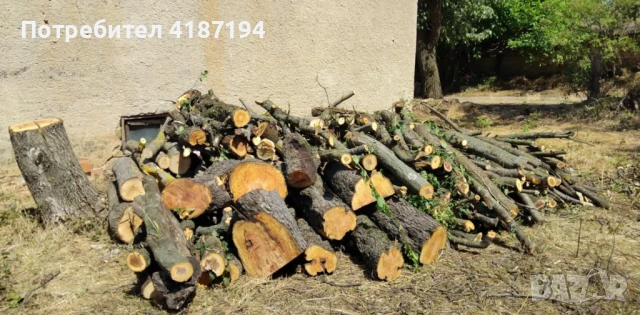 Дърва за огрев 60лв, снимка 2 - Дърва за огрев - 51193183