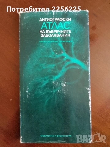 Ангиографски атлас на бъбречните заболявания