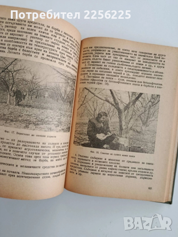 Агротехника на овощните култури, снимка 2 - Специализирана литература - 52466931