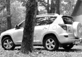 Toyota RAV4 2.0 бензин-автомат, снимка 1