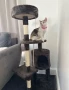 Котешка Катерушка Кула Къща Дърво 112 см, снимка 10