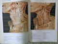 Продавам ; Color atlas of anatomy: A photographic study of the human body  , снимка 6