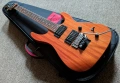 Caparison Dellinger - Natural Finish, made in Japan! ел.китара, снимка 5