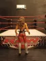 Екшън фигура WWE Tamina Snuka Тамина Снука Mattel figure играчка NXT, снимка 3