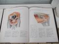 Книга"Атлас по топографска анатомия-III том-П .Попеско"-206с, снимка 7