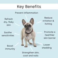 Scooch Добавка за кучета против алергии и сърбеж, фъстъчено масло и аромат на кокос - 60 дъвки, снимка 8 - За кучета - 45424525