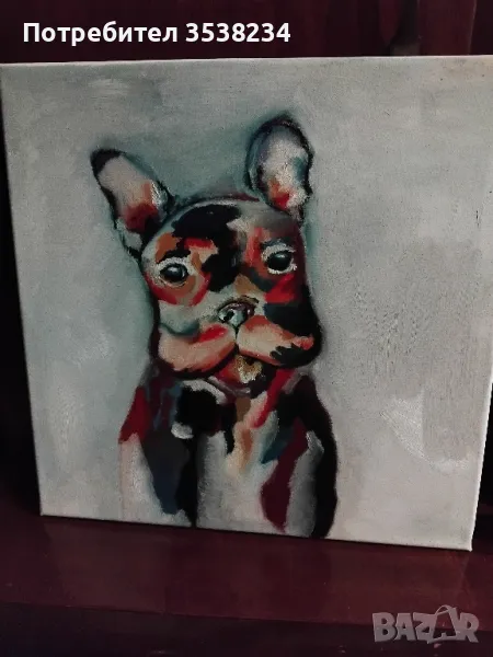 Куче, снимка 1