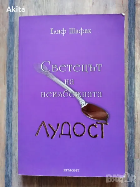 "Светецът на неизбежната лудост "- Елиф Шафак , снимка 1