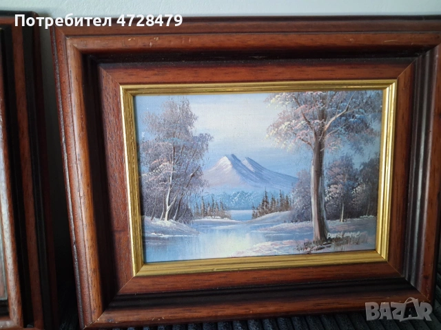 Картини маслени с красиви рамки и подпис на художника., снимка 4 - Декорация за дома - 53704932