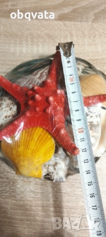 Нова кошничка с Морска звезда и естествени раковини., снимка 4 - Други стоки за дома - 52987284