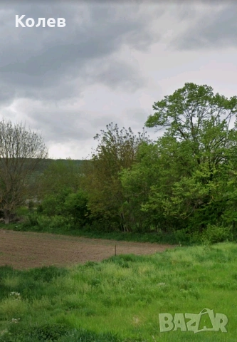 Парцел в регулация в с. Ушинци, снимка 4 - Парцели - 53626672