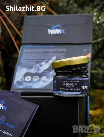 Шиладжит + Трибулус - Бабини Зъби 20 гр. Смола + Лъжичка + Кутия–PeakХ, снимка 1 - Хранителни добавки - 52961817