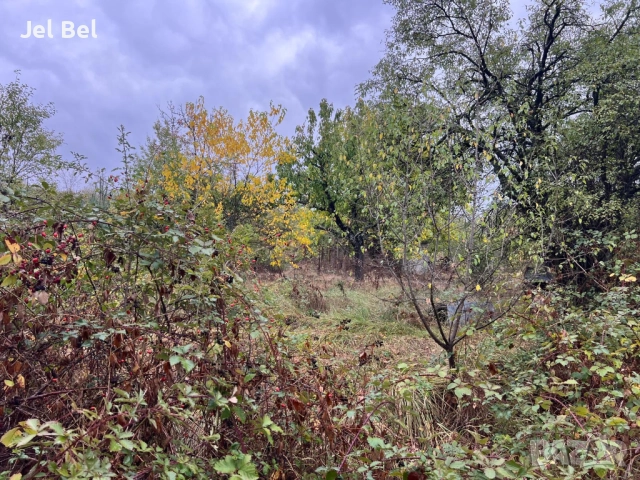 Две Къща с 3дка Двор в Казанлък, Вилна Зона "Старите Лозя" и Тюлбето, снимка 7 - Къщи - 52512610