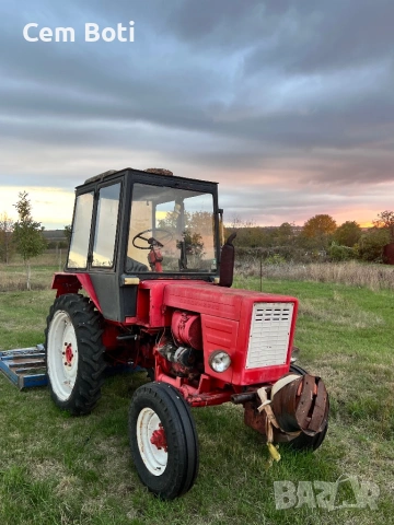 Владимирец